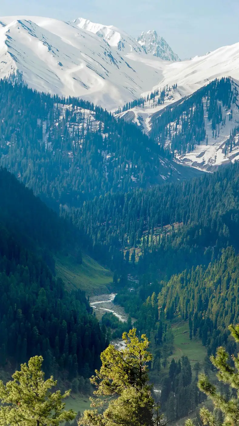 The green slopes above the Kashmir valley, where the story of Lucr begins.